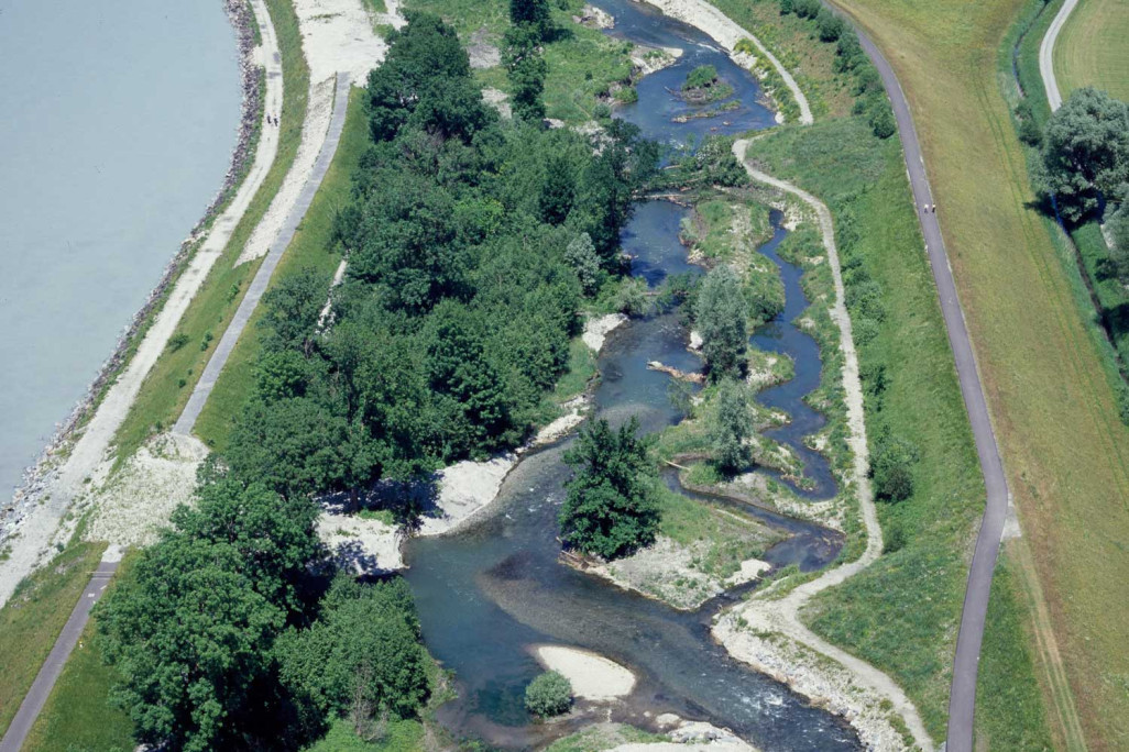 Revitalisierung Binnenkanal am Rhein